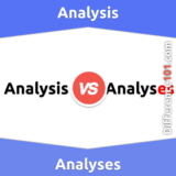 Analysis vs. Analyses: Everything You Need To Know About The Difference Between Analysis And Analyses
