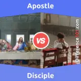 Apostle vs. Disciple: What’s The Difference Between Apostle and Disciple?