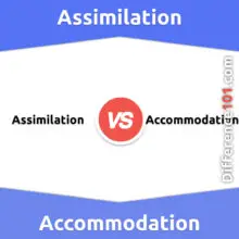 Assimilation vs. Accommodation: Everything You Need To Know About The Difference Between Assimilation And Accommodation