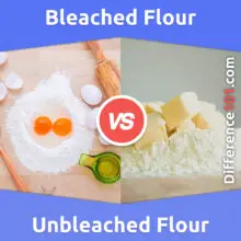 Bleached Flour vs. Unbleached Flour: What Is The Difference Between Bleached Flour And Unbleached Flour?