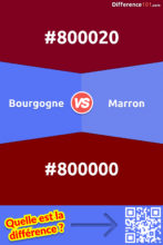 Quelle est la différence entre les couleurs Bourgogne et Marron?