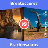 Brontosaurus vs. Brachiosaurus: What’s The Difference Between Brontosaurus And Brachiosaurus?