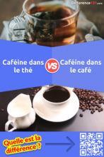 La caféine dans le Thé vs. le Café: Quelle est la différence entre la caféine du thé et celle du café?