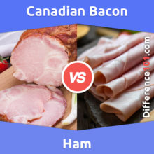 Canadian Bacon vs. Ham: What is the Difference Between Canadian Bacon and Ham?