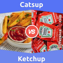 Catsup vs. Ketchup: Everything You Need To Know About The Difference Between Catsup And Ketchup