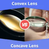 Convex vs. Concave Lens: What Is the Difference Between Convex and Concave Lens?