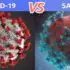 COVID-19 Coronavirus vs. Flu: What’s the Difference Between Coronavirus and Flu?