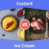 Crème anglaise vs. Crème glacée : Quelle est la différence entre la crème anglaise et la crème glacée ?