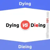 Dying vs. Dieing: Everything You Need To Know About The Difference Between Dying And Dieing