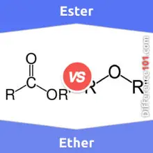 Ether vs. Ester: What’s The Difference Between Ether And Ester?