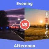 Evening vs. Afternoon: Everything You Need To Know About The Difference Between Evening And Afternoon