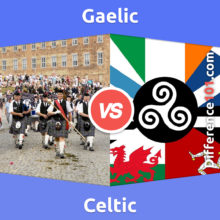 Gaelic vs. Celtic: What’s The Difference Between Gaelic And Celtic?