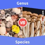 Genus vs. Species: Difference Between Genus and Species