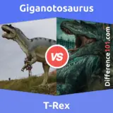 Giganotosaurus x T-Rex: Qual é a diferença entre o Giganotosaurus e o T-Rex?