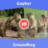 Gopher vs. Groundhog: What Is The Difference Between Gopher And Groundhog?
