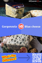 Gorgonzola vs. Queijo Azul: Qual é a diferença entre o queijo Azul e o Gorgonzola?