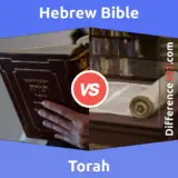 Hebrew Bible vs. Torah: Everything You Need To Know About The Difference Between Hebrew Bible And Torah