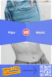 Hips vs. Waist: What is the Difference Between Hips and Waist?
