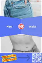Hips vs. Waist: What is the Difference Between Hips and Waist?