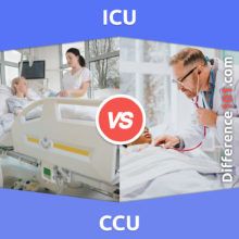 ICU vs. CCU: What’s The Difference Between ICU And CCU?