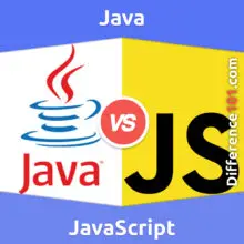 Java vs. JavaScript: What’s The Difference Between JAVA and JavaScript?