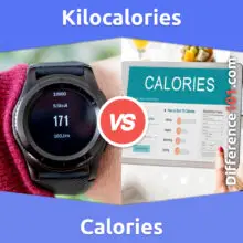 Kilocalories et Calories : Quelle est la différence entre les kilocalories et les calories ?
