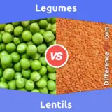 Legumes vs. Lentils: What’s The Difference Between Legumes and Lentils?