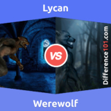 Werewolf vs. Lycan: What’s The Difference Between Werewolf And Lycan?