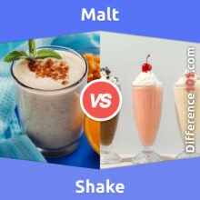 Malt vs. Shake: What Is The Difference Between Malt And Shake?