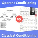 Operant Conditioning vs. Classical Conditioning: What’s The Difference Between Operant Conditioning And Classical Conditioning?