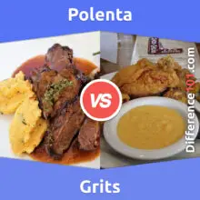 Polenta vs. Grits: What Is The Difference Between Polenta And Grits?