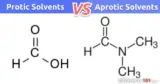 Protic vs. Aprotic: What’s the Difference Between Protic and Aprotic?