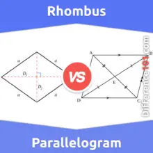 Rhombus vs. Parallelogram: What’s The Difference Between A Rhombus And A Parallelogram?