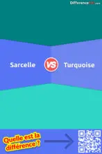 Sarcelle ou Turquoise ou Aqua ou Menthe: Quelle est la différence entre sarcelle et turquoise et aqua et menthe?