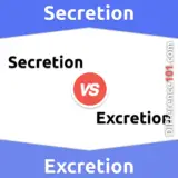 Sekretion vs. Exkretion: Alles, was Sie über den Unterschied zwischen Sekretion und Exkretion wissen müssen