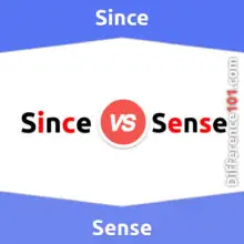 Since vs. Sense: What’s The Difference Between Since And Sense?