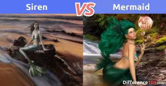 Siren vs. Mermaid: What is the difference between Siren and Mermaid?