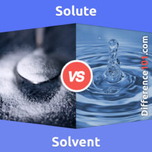 Solute vs. Solvent: What’s The Difference Between Solute And Solvent?