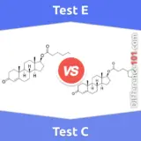 Test E vs. Test C: Everything You Need To Know About The Difference Between Test E And Test C
