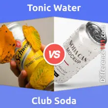 Tonic Water vs. Club Soda: What Is The Difference Between Tonic Water And Club Soda?