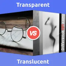 Transparent vs. Translucent: Everything You Need To Know About The Difference Between Transparent And Translucent
