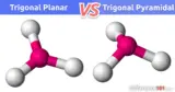 Trigonal Planar vs. Trigonal Pyramidal: What’s the Difference Between Trigonal Planar and Trigonal Pyramidal?