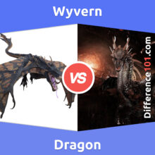 Dragon vs. Wyvern: What’s The Difference Between Dragon vs. Wyvern?